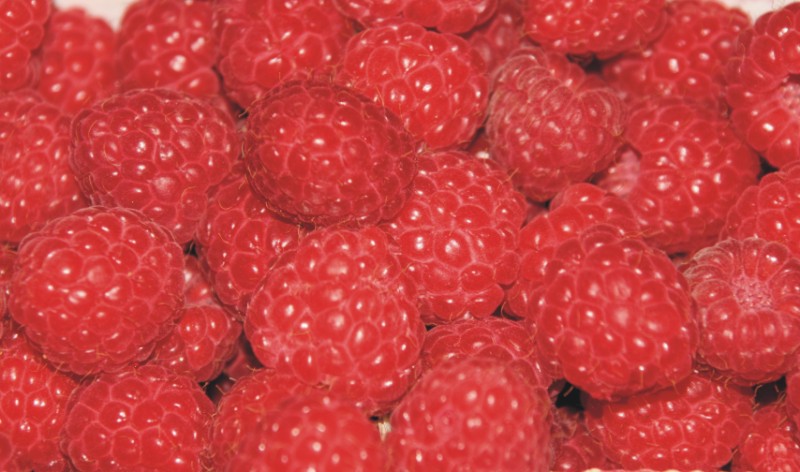 leckere Himbeeren